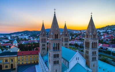 Entenbraten und Kellerführung in Pécs