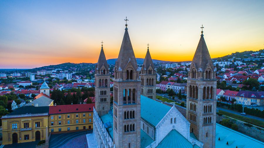 Entenbraten und Kellerführung in Pécs